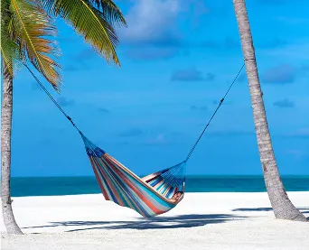 A hammock hanging between two palm trees on a beach.