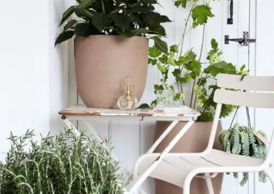Various plants inside planters.
