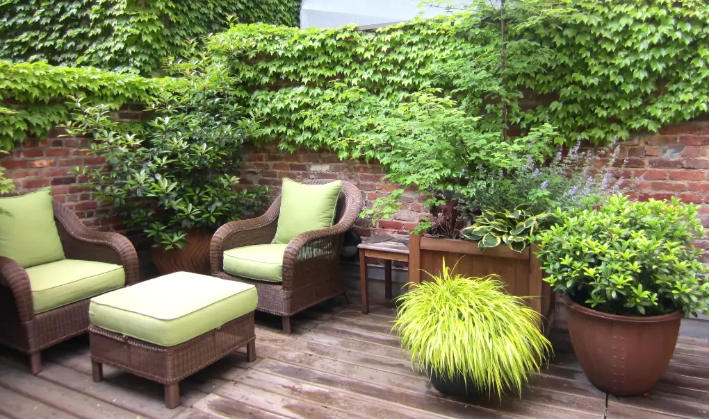 A sitting area with wicker furniture that has green cushions, various planters and vegetation around the furniture.