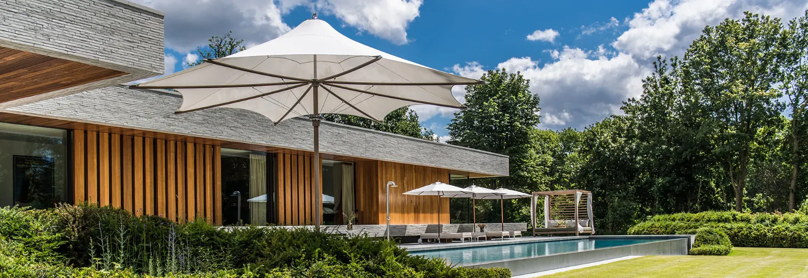 A backyard with a pool, umbrellas, and some chaise loungers.