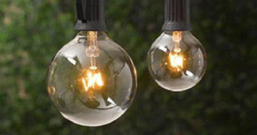 Two garden lightbulbs