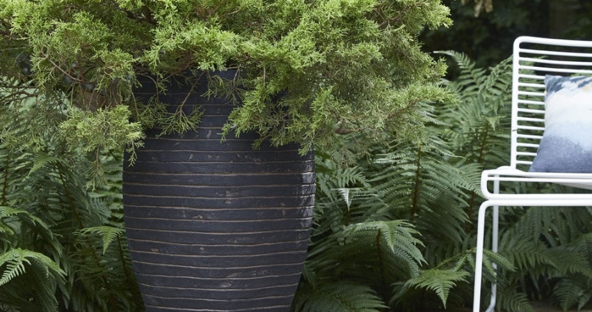 A large round planter next to a white chair.