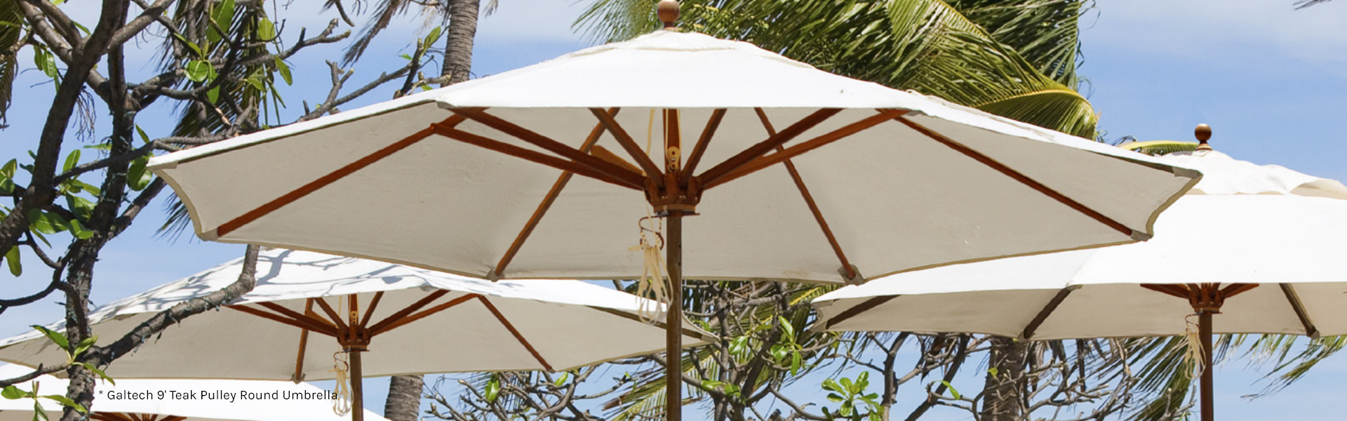 Galtech Umbrellas